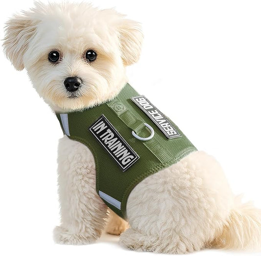 Dog Harness for Puppy – Adjustable Reflective Easy Put On Soft Mesh Vest for Small Dogs with 2 Patches (Misty Green,L)