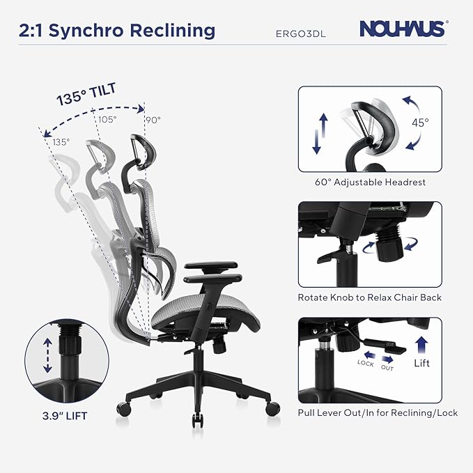 Nouhaus Ergo3dL Home Office Desk Computer Chairs Ergonomic Office Chair High-Back Mesh Rolling Work Chairs with Wheels and Adjustable Headrests Comfortable Lumbar Support Adjustable Armrests,Gray