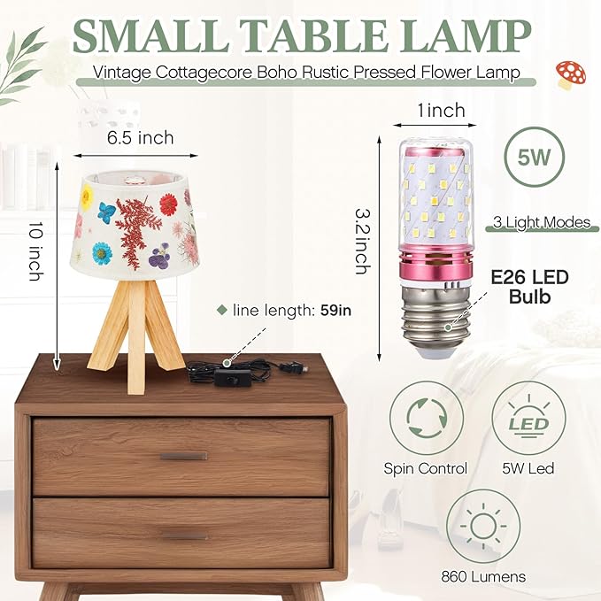 Hortsun Pressed Flower Lamp Vintage Table Small Lamp Cottagecore Decor Boho Night Light Decorative Rustic Night Light for Bedroom, Living Room or Office, Christmas Gift for Women(Triangle Style)