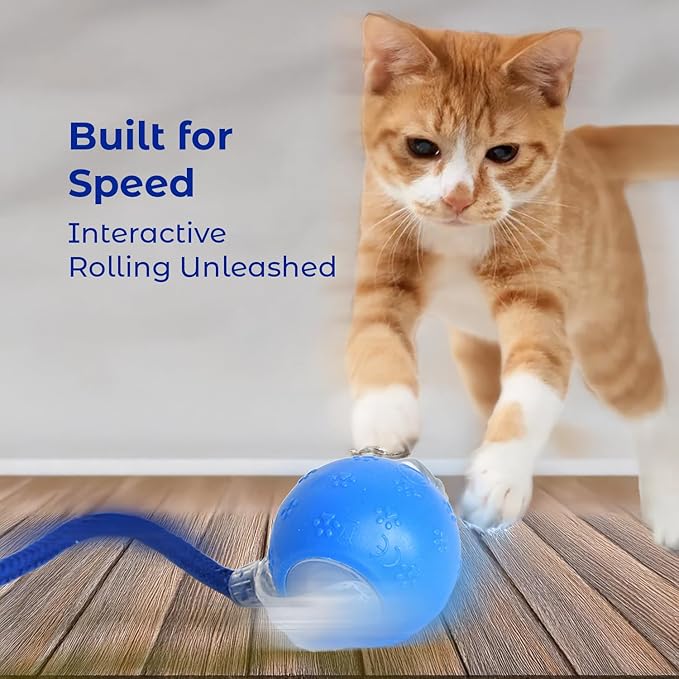 Interactive Cat Toys Ball for Indoor Cats Adult, Auto Moving Interactive Dog Toys,Smart Pet Chase Ball with Speedy Tail Rope, Stimulating Dogs Toy, Blue