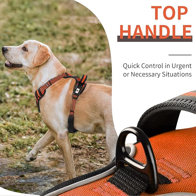 Dog Harness, No-Pull Pet Breathable Harness, Adjustable Soft Padded Dog Vest with 2 Leash Clips, Reflective No-Choke Pet, Easy Control Handle for Large Dogs, Orange, XL