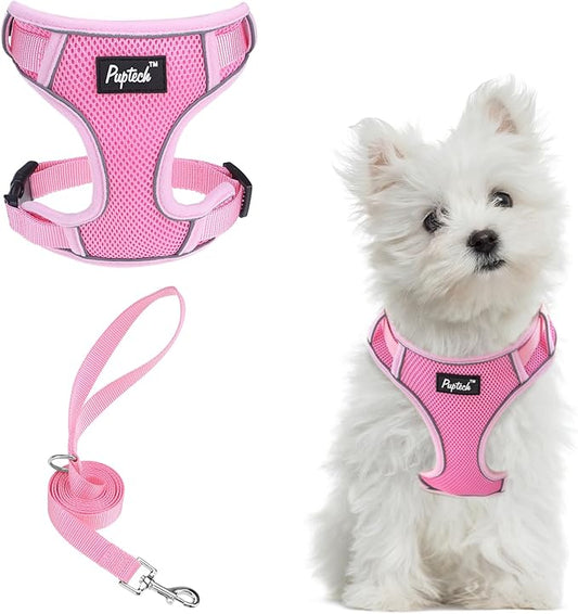 PUPTECK Small Dog Harness and Leash Set, No Pull Adjustable Puppy Cat Harness, Reflective Soft Mesh Pet Vest Small Sized