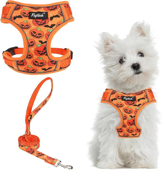 PUPTECK Small Dog Harness and Leash Set, No Pull Adjustable Puppy Cat Harness, Reflective Soft Mesh Pet Vest Small Sized