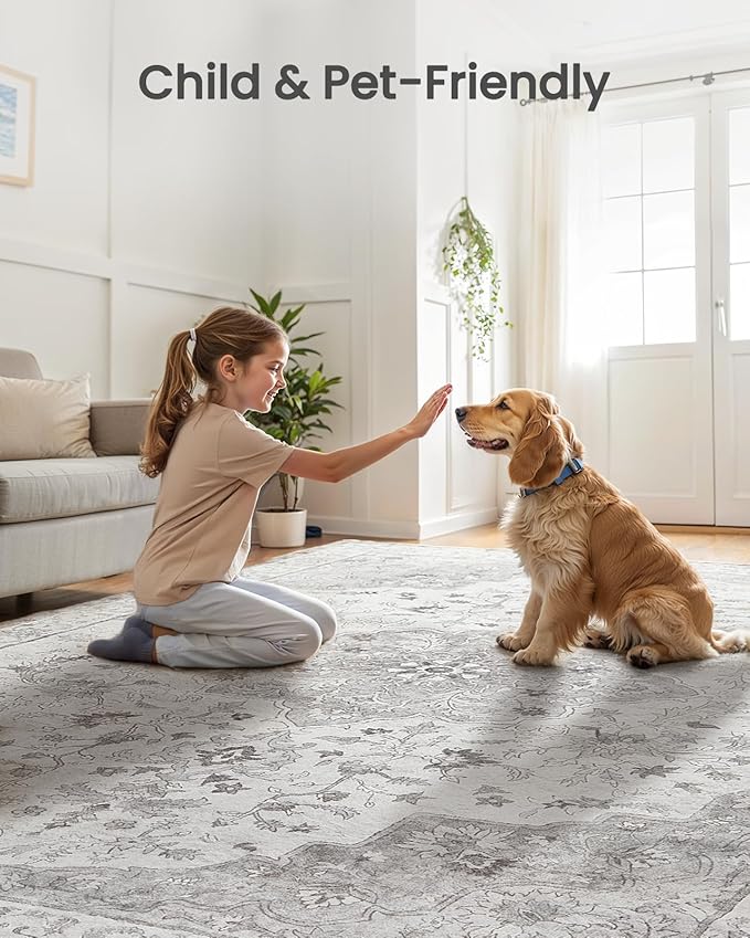 Amada 8x10 Area Rugs, Non-Slip Washable Rug with Low Profile, Durable Bound Edge, Soft Large Vintage Rug for Living Room, Bedroom, Dinning Room, Home Office,Silver Gray