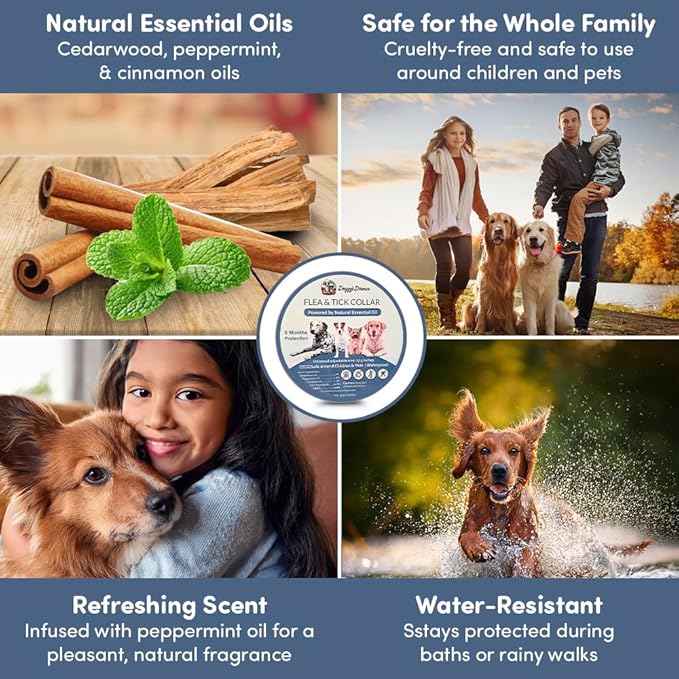 Natural Flea and Tick Collar for Dogs & Cats – 8 Month Protection – Waterproof, Adjustable – 2 Pack – Essential Oils, Chemical-Free, Safe for Pets, People & The Planet