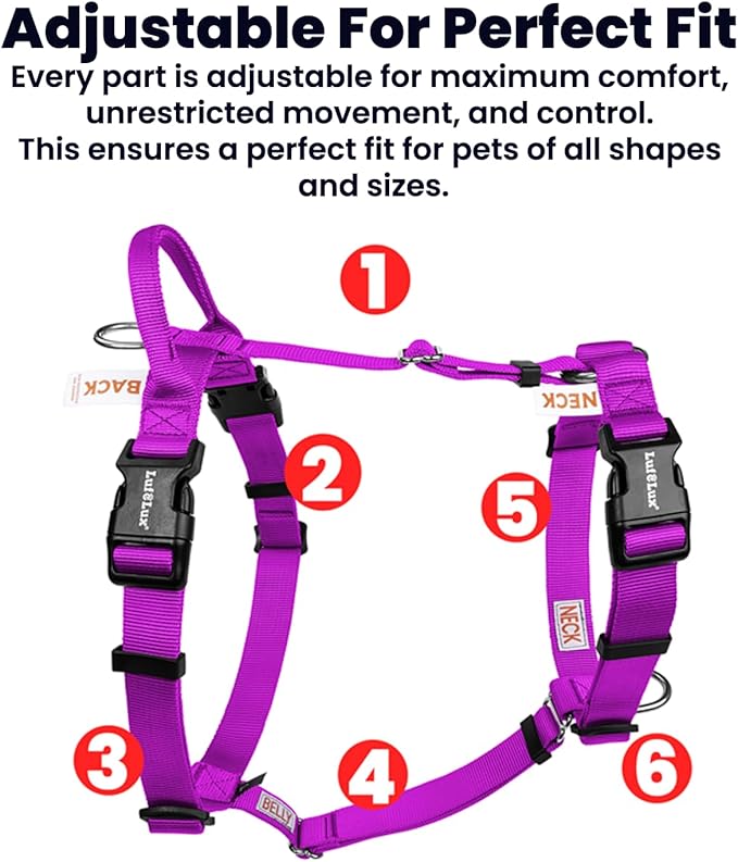 Non Restrictive Dog Harness Medium Size, Easy Walk Freedom No Pull, Keep Balance, Lightweight, Neck Buckle, 2 Clips for Back/Front Clip, Sewn-in Instructions Labels for Easy Use, Purple