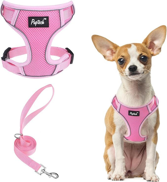 PUPTECK Small Dog Harness and Leash Set, No Pull Adjustable Puppy Cat Harness, Reflective Soft Mesh Pet Vest Small Sized