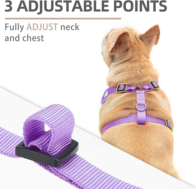 PUPTECK Small Dog Harness and Leash Set, No Pull Adjustable Puppy Cat Harness, Reflective Soft Mesh Pet Vest Small Sized