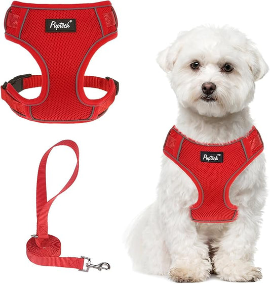PUPTECK Small Dog Harness and Leash Set, No Pull Adjustable Puppy Cat Harness, Reflective Soft Mesh Pet Vest Small Sized