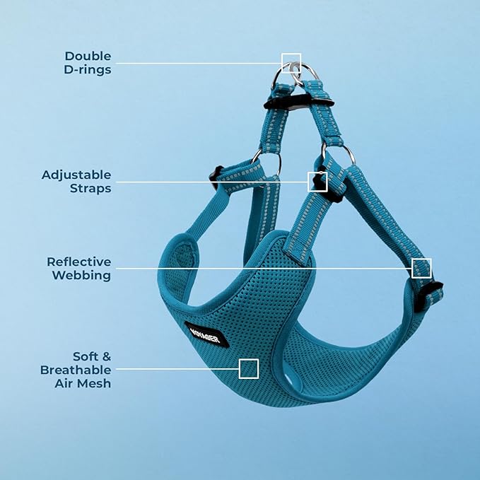 Best Pet Supplies Voyager Adjustable Dog Vest Harness Breathable No Pull Harness for Small, Medium, Large Dogs, Harness for Walking, Jogging, Easy Step-in, Reflective Stripes - Turquoise, M
