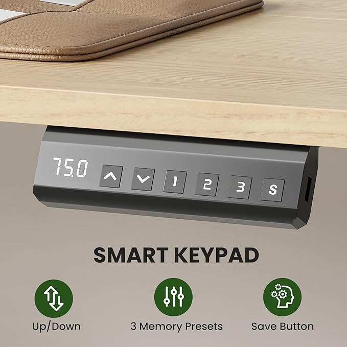 Casaphoria 40 x 24 inches Electric Standing Desk, Sit to Stand Desk with Memory Height Adjustment, Home Office Computer Desk for Writing and Games, Oak