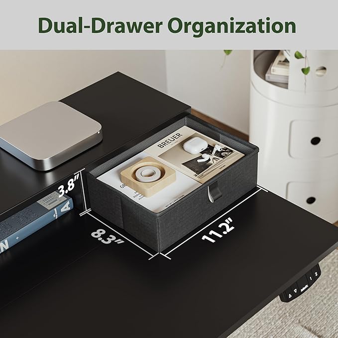 Agilestic Electric Standing Desk with 2 Drawers and Keyboard Tray, 55 x 24 Inches Ergonomic Adjustable Height Desk with Storage, Sit Stand up Desk Computer Workstation, Black