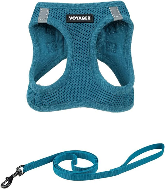 Voyager Step-in Pet Harness - All Weather Mesh, Adjustable Step in Harness for Cats and Dogs by Best Pet Supplies - 307S Turquoise, S
