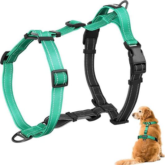 No-Pull Harness,Y-Shaped Design,Buckle-Neck Balance Harness with Reflective Stitching, Ideal for Dog Training and Night Walking, Padded Handle, Durable High-Tensile Nylon-Aqua Green-L