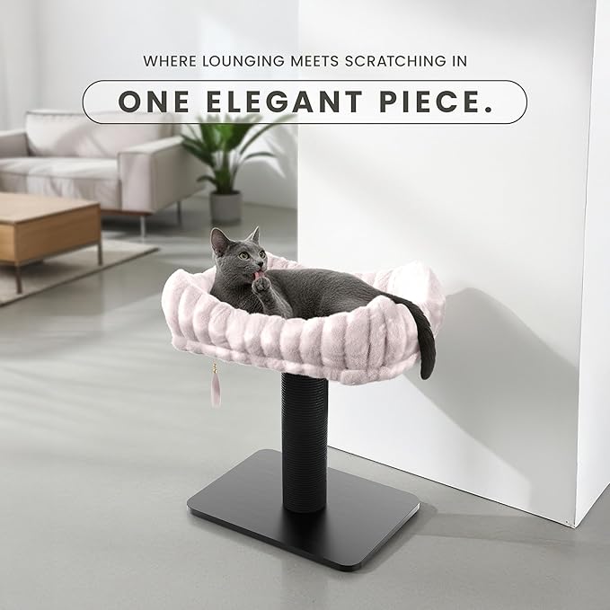 Modern Scratching Post for Indoor Cats - 15” High Cat Scratching Post with Bed Breeds - 15.7” x 11.6” Removable & Washable Cushion (Black Post with Pink Bed)