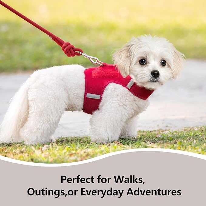 Dog Harness for Puppy – Adjustable Reflective Easy Put On Soft Mesh Vest for Small Dogs with 2 Patches (Burgundy Red,M)
