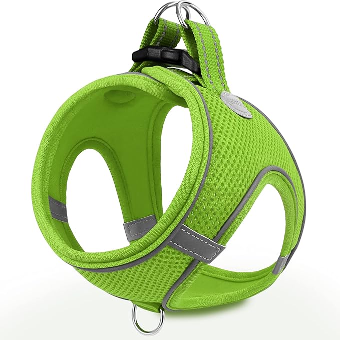 Joytale Small Dog Harness, Breathable Mesh Step-in Vest, Reflective Soft Padded Harnesses for Cats, Puppies and Extra Small Dogs, Green, XXS