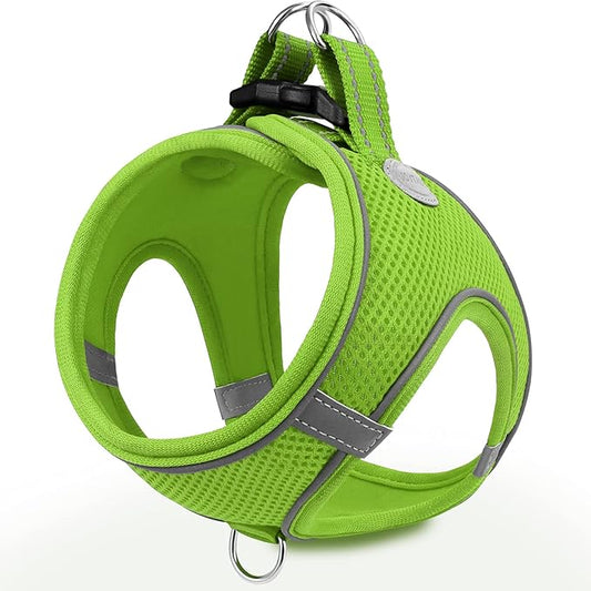 Joytale Small Dog Harness, Breathable Mesh Step-in Vest, Reflective Soft Padded Harnesses for Cats, Puppies and Extra Small Dogs, Green, XXS