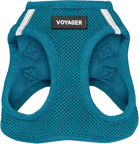 Best Pet Supplies Voyager Step-in Air Harness - All Weather Mesh, Reflective, No Pull Harness for Dogs, Cats - Secure with Hook & Loop Fastener, Buckle, Double D-Rings - Turquoise, L