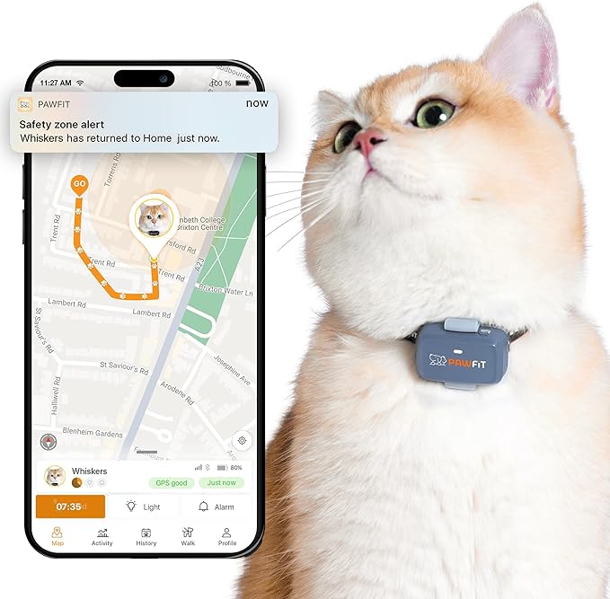 Lite for Cats 4g GPS Tracker | Real Time Tracking | Activity Monitoring |Location History | Unlimited Range | Safety Collar Included | Lilac Grey