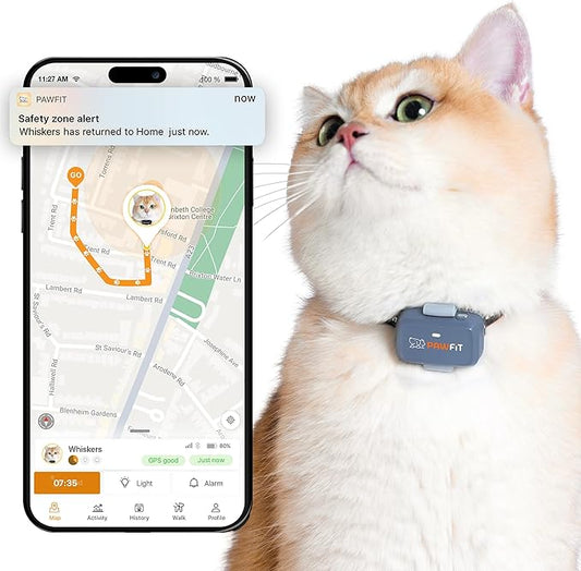 Lite for Cats 4g GPS Tracker | Real Time Tracking | Activity Monitoring |Location History | Unlimited Range | Safety Collar Included | Lilac Grey