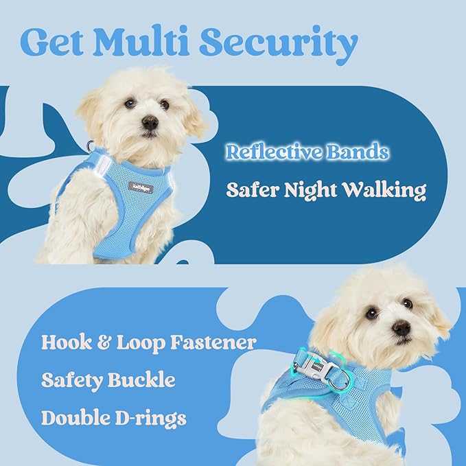 rabbitgoo Small Dog Harness, Step-in Soft Mesh Puppy Vest with Safety Buckle, Breathable Reflective Pet Harness for Small Sized Dogs, Blue S