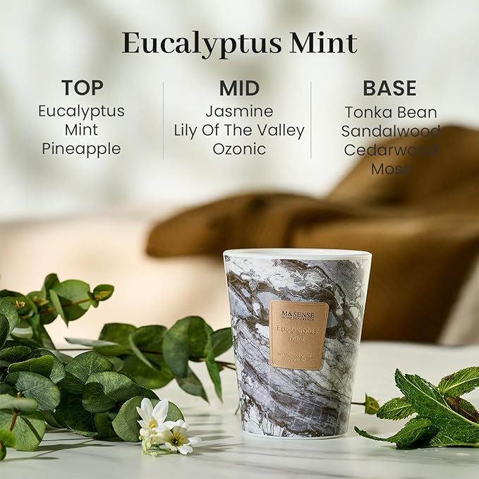M&SENSE Eucalyptus Mint Scented Soy Candle, 3 Wick Highly Scented 14.1 Oz 80H, Aromatherapy Christmas Gift for Women and Men