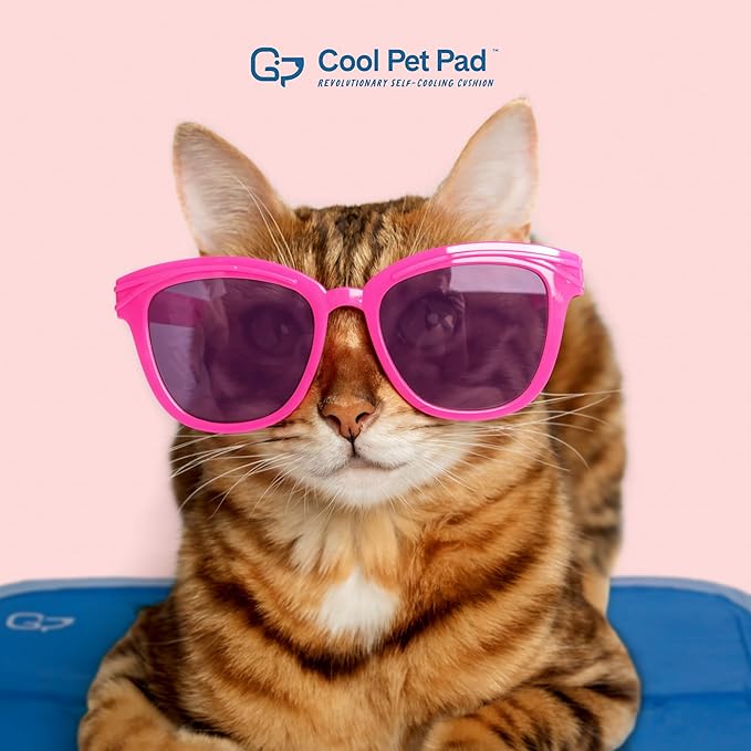 The Green Pet Shop Cool Pet Pad - Small, Blue - Self-Cooling, Pressure Activated Mat for Dogs & Cats from 9-20 lbs - Non-Toxic Gel, No Water Needed