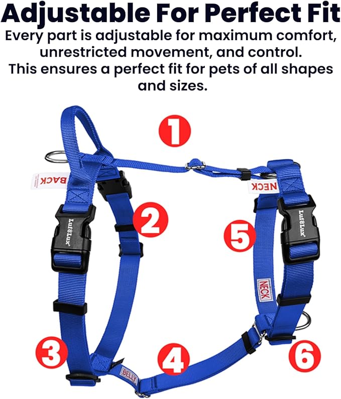 Non Restrictive Dog Harness, Easy Walk Freedom No Pull Harness, Keep Balance, Neck Buckle, 2 Leash Clips for Back/Front Clip, Sewn-in Instructions Labels for Easy Put On/Off (Blue, X-Large)