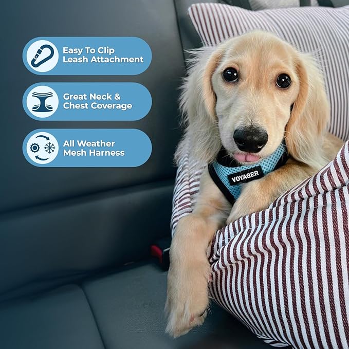 Best Pet Supplies Voyager Step-in Air Harness - All Weather Mesh, Reflective, No Pull Harness for Dogs, Cats - Secure with Hook & Loop Fastener, Buckle, Double D-Rings - Baby Blue/Black Trim, XS