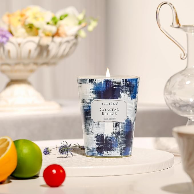 HomeLights Large jar Candle | 1-Wick Long-Lasting Scented Candles, 6.7oz Natural Soy Wax Candle for Home Scented, Scandinavian Minimalist Design Gifts for Women & Men, Coastal Breeze