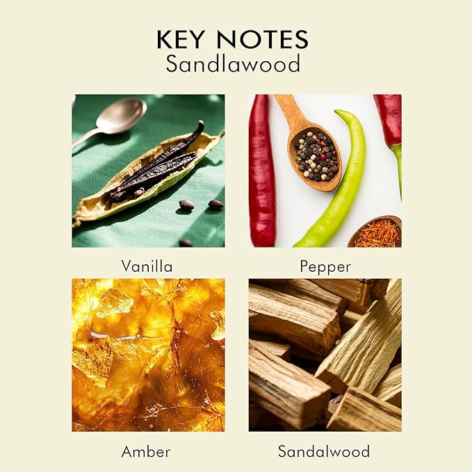 Sandalwood Scented Candle for Home, Luxury Glass Candles Soy Wax for Men and Women, Aromatherapy Candle Gift for Christmas Birthday Mother, 6.8 oz