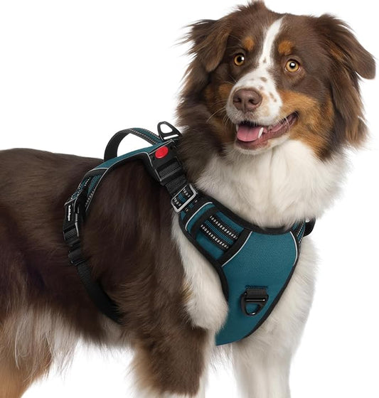 rabbitgoo Dog Harness Medium Sized, No Pull Pet Harness with Soft Padded Handle, Adjustable Reflective Vest with 3 Buckles, Easy Walking Harness with 2 Leash Clips, Green, XL