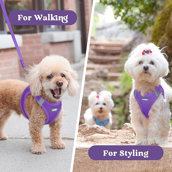 rabbitgoo Small Dog Harness, Step-in Soft Mesh Puppy Vest with Safety Buckle, Breathable Reflective Pet Harness for Small Sized Dogs, Purple M