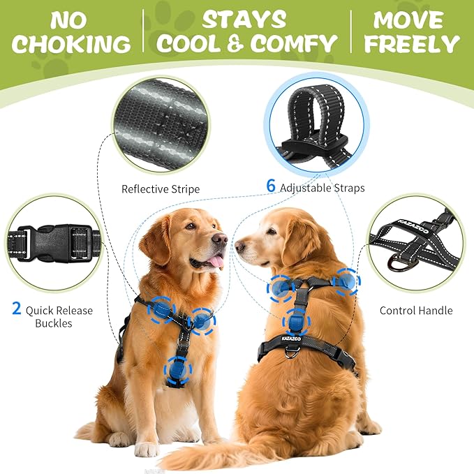 No-Pull Harness,Y-Shaped Design,Buckle-Neck Balance Harness with Reflective Stitching, Ideal for Dog Training and Night Walking, Padded Handle, Durable High-Tensile Nylon-Black-M