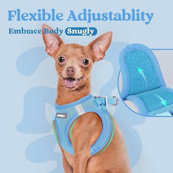 rabbitgoo Small Dog Harness, Step-in Soft Mesh Puppy Vest with Safety Buckle, Breathable Reflective Pet Harness for Small Sized Dogs, Blue S
