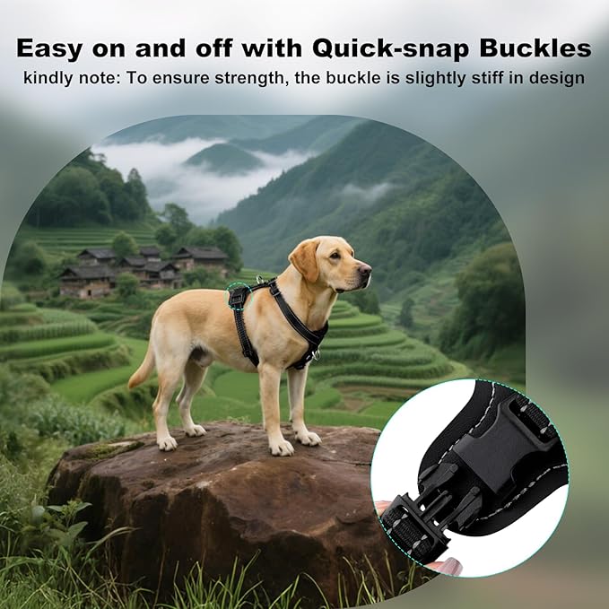 Plutus Pet Adjustable No Pull Dog Harness with Leather Accents, Heavy Duty Reflective Nylon Vest for Training, Hiking, Easy Walk Harness for Small, Medium, Large Dogs (Black, M)