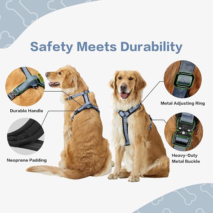 PawsPassion Dog Harness for Large Dogs, No Pull Dog Harness Easy Walk with Metal Hardware, Ergonomic Y-Shaped Design, Soft Padding, Padded Handle, Durable High-Tensile Nylon (Horizon, L)