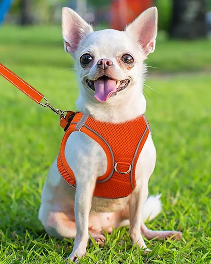 Joytale Small Dog Harness, Breathable Mesh Step-in Vest, Reflective Soft Padded Harnesses for Puppies and Extra Small Dogs, Orange, XS