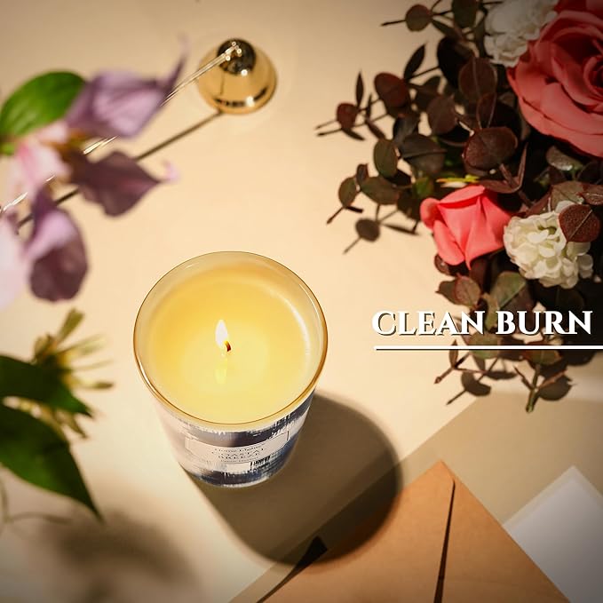 HomeLights Large jar Candle | 1-Wick Long-Lasting Scented Candles, 6.7oz Natural Soy Wax Candle for Home Scented, Scandinavian Minimalist Design Gifts for Women & Men, Coastal Breeze