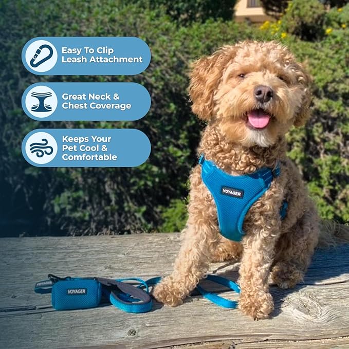 Best Pet Supplies Voyager Adjustable Dog Harness Leash Set with Reflective Stripes for Walking Heavy-Duty Full Body No Pull Vest with Leash D-Ring, Breathable All-Weather - Turquoise, XL
