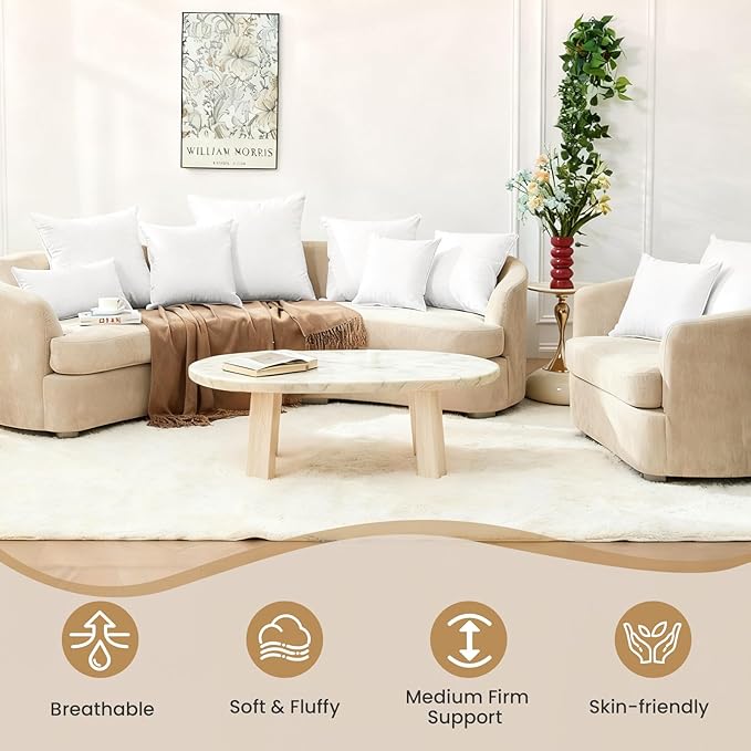 BHZ Euro Throw Pillow Insert, 22x22 Down Feather Alternative Pillow Inserts, Decorative Soft Large Square White Throw Pillows Insert for Couch Bed Dorm Sofa with Cotton Cover