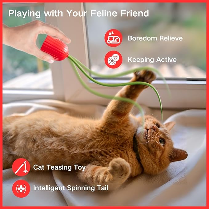 Interactive Electric Cat Teaser Wand Toys with Silicone Tail, Rechargeable Exercise Toy for Indoor Cats and Kittens (RED)