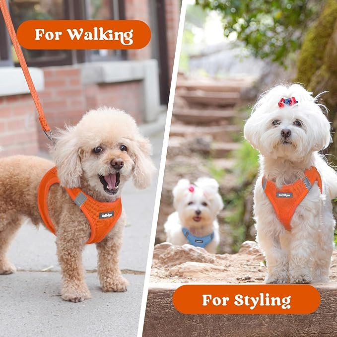 rabbitgoo Small Dog Harness, Step-in Soft Mesh Puppy Vest with Safety Buckle, Breathable Reflective Pet Harness for Small Sized Dogs, Orange M