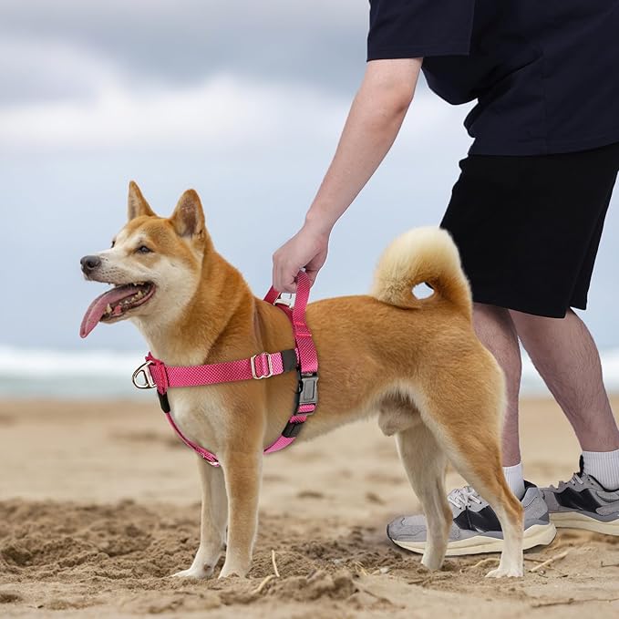 Annchwool Adjustable Dog Harness-Lightweight No Pull Dog Harness with Handle for Small & Medium and Large Dogs-Front Clip Easy for Walking Vest Harness(Red,M)