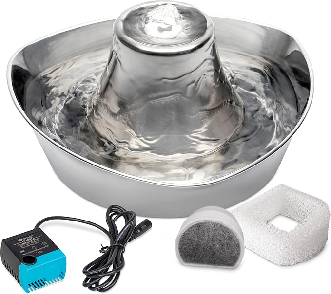 PetSafe Seaside Stainless Pet Fountain - Encourages Hydration - Dual Filtration Removes Odors - Compact Design - Rust Resistant Material - Quiet Motor -