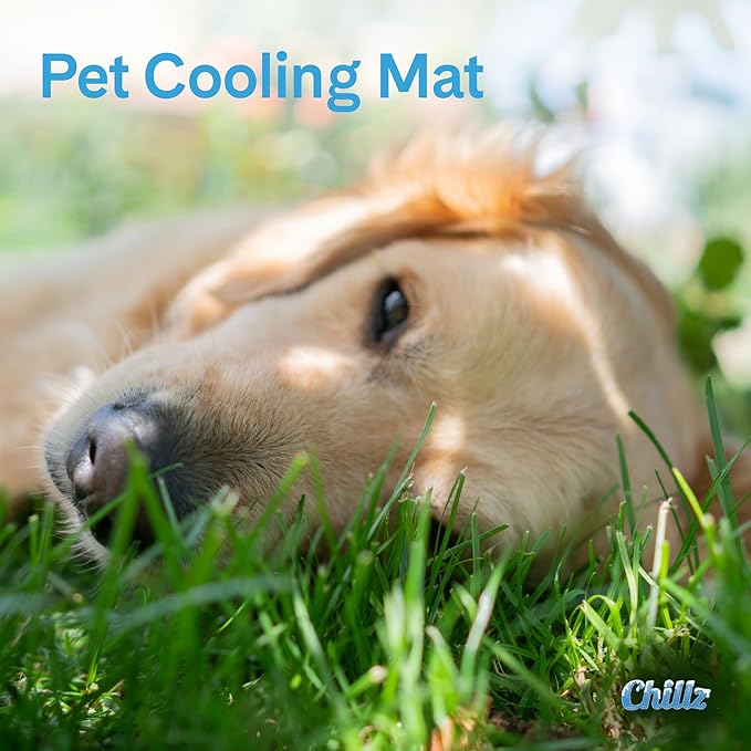 The Green Pet Shop Chillz Gel Mat, Medium - Pressure-Activated Cooling Pad for Pets 0-25 lbs - Non-Toxic, No Water or Refrigeration Needed - Ideal for Home, Travel & Crates