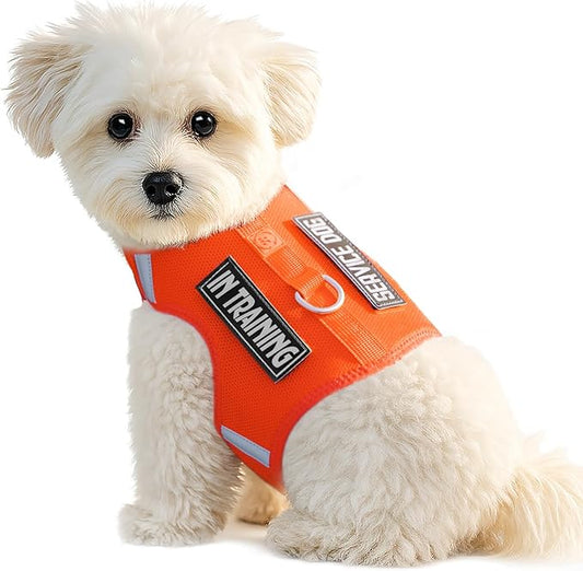 Dog Harness for Puppy – Adjustable Reflective Easy Put On Soft Mesh Vest for Small Dogs with 2 Patches (Orange,XXS)