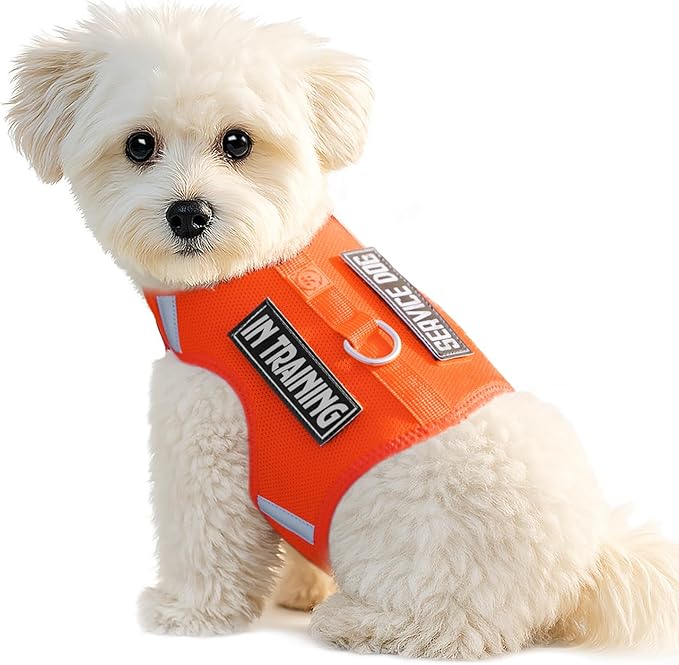 Dog Harness for Puppy – Adjustable Reflective Easy Put On Soft Mesh Vest for Small Dogs with 2 Patches (Orange,XXXS)
