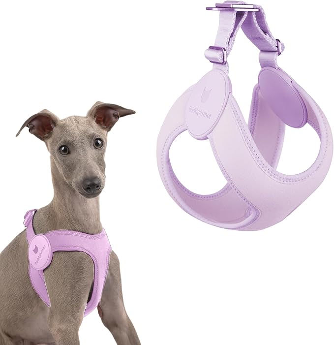 Ultra Comfortable Dog Harness Adjustable Soft Dog Vest, Alloy Buckle Closure Lightweight Stretchy Puppy Harness Step in for Small Sized Dogs Walking Training (Monet Purple, XXS 11.8-12.6")